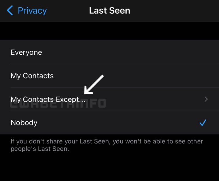 WhatsApp: Neue Funktion macht euch einfach unsichtbar