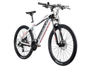 Bestpreis-Alarm: Robustes E-Bike zum Schnäppchenpreis bei Lidl