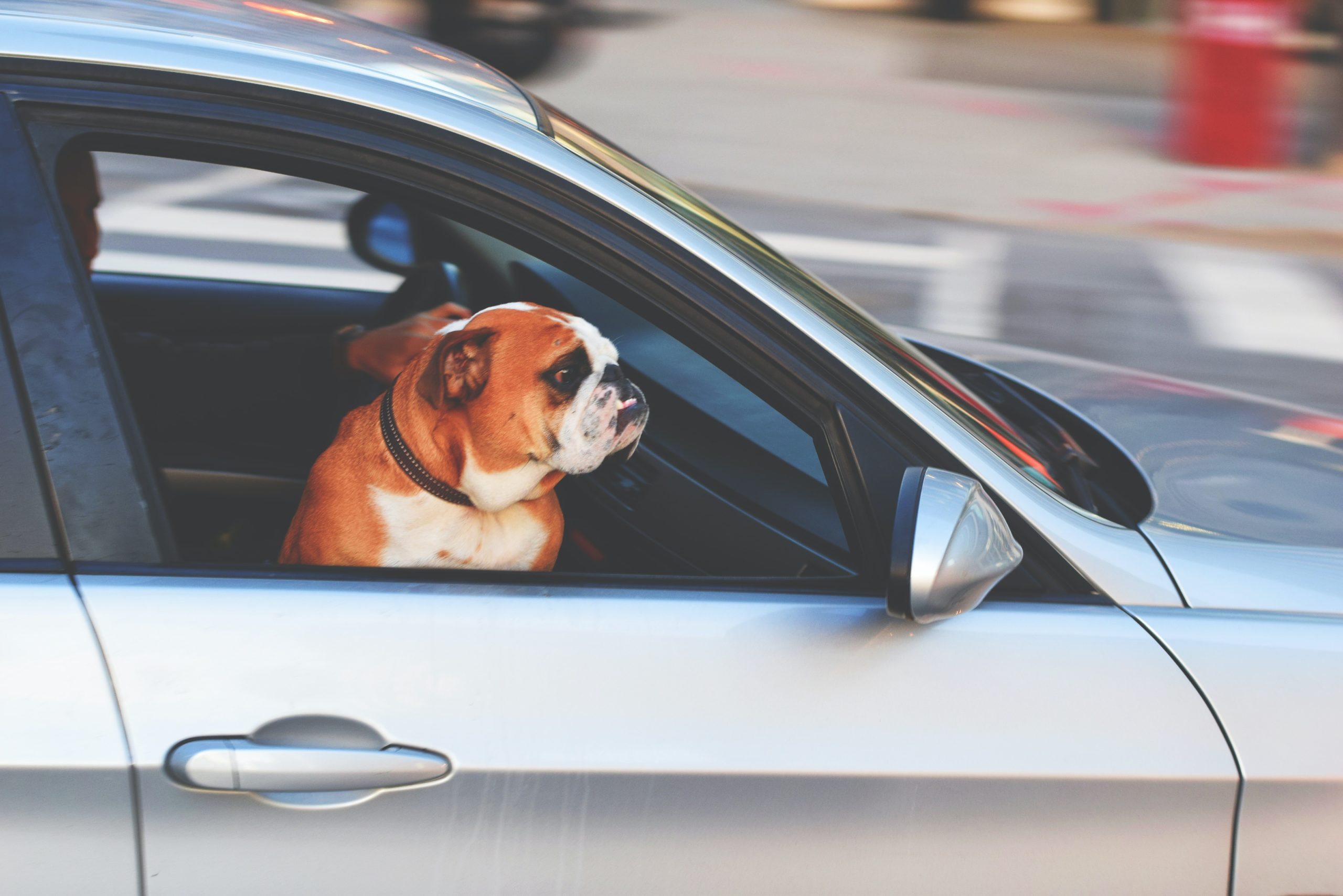 E-Auto-Fahrer, aufgepasst! Diese 9 Apps braucht ihr auf jeden Fall